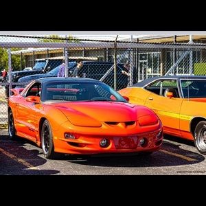 Meet your Posher, Joey